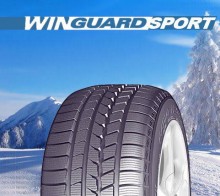 �������� 205/55R16 ROADSTONE  Winguard Sport  94V t