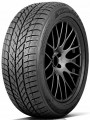 �������� 225/45 R18 XL PAXARO Inverno 95V t2